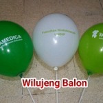 Balon Print FK UNDIP 1